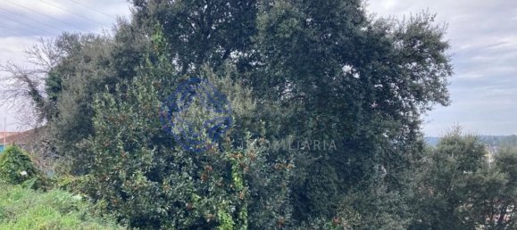 Grundstück in Alfena, Portugal 483m², Nr. 85662 12