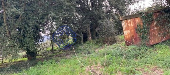 Grundstück in Alfena, Portugal 483m², Nr. 85662 7