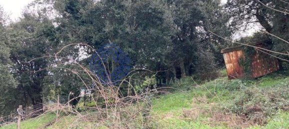 Grundstück in Alfena, Portugal 483m², Nr. 85662 6