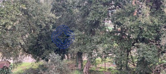 Grundstück in Alfena, Portugal 483m², Nr. 85662 13