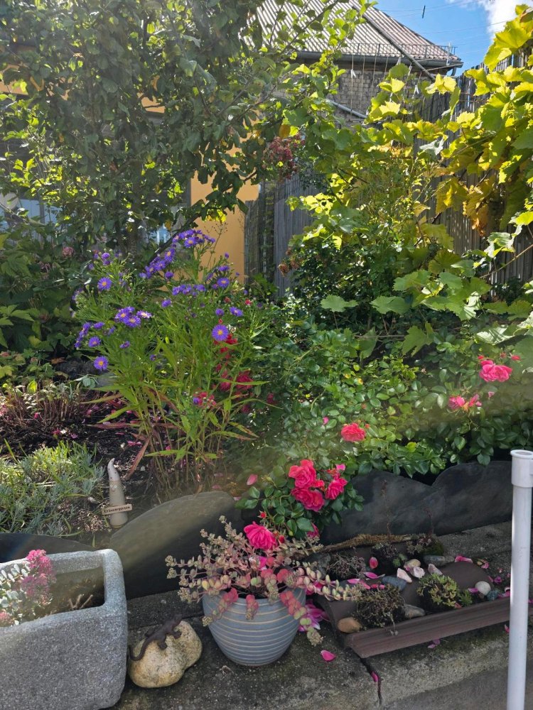 4 chambres Maison de ville à Bad Kreuznach, Germany No. 292265