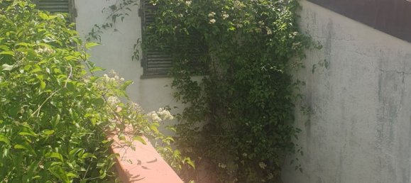 10-Zimmer Haus in Moneglia, Italy, Nr. 136436 7