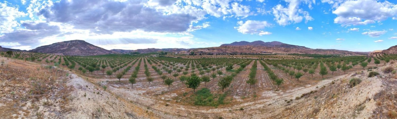 1000000m² Land in Granada, Spain No. 274529