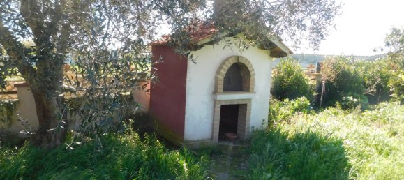3 chambres Villa à Montalto di Castro, Italy No. 159498 38