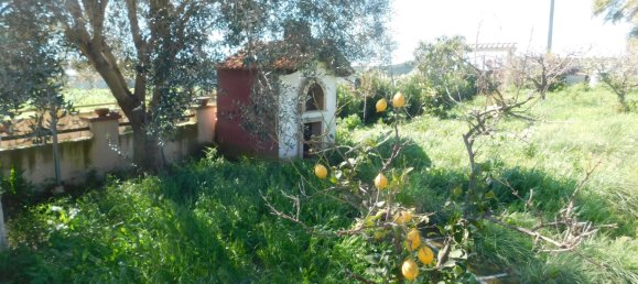 3 chambres Villa à Montalto di Castro, Italy No. 159498 27