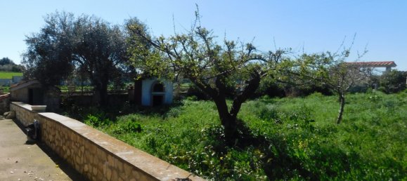 3 chambres Villa à Montalto di Castro, Italy No. 159498 29