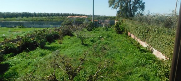 3 chambres Villa à Montalto di Castro, Italy No. 159498 37
