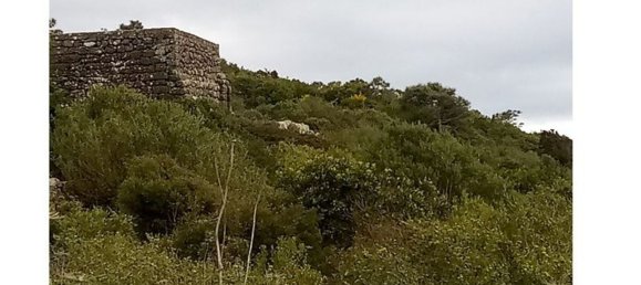 22100m² Land in Pantelleria, Italy No. 146221 7