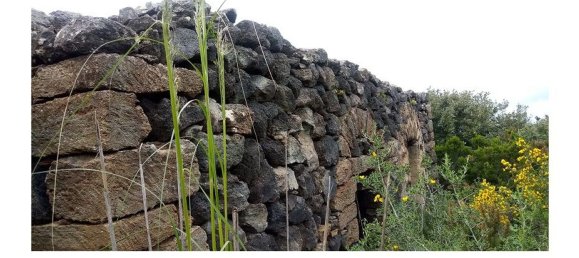 22100m² Land in Pantelleria, Italy No. 146221 14