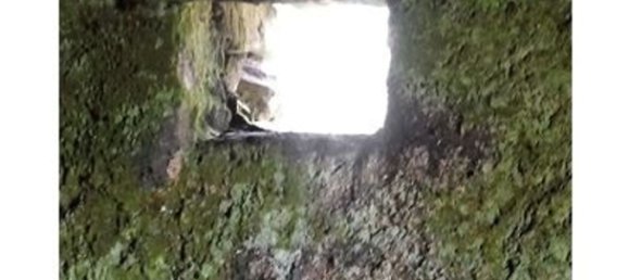 22100m² Land in Pantelleria, Italy No. 146221 16