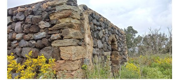 22100m² Land in Pantelleria, Italy No. 146221 13