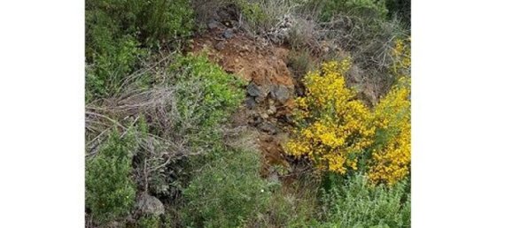 22100m² Land in Pantelleria, Italy No. 146221 9