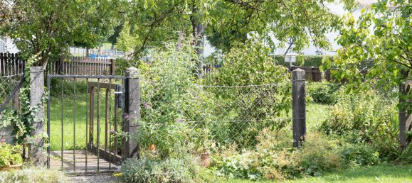 4 rooms House in Walding, Austria No. 210350 3