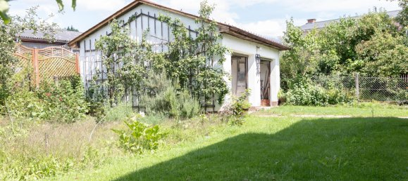4 rooms House in Walding, Austria No. 210350 5