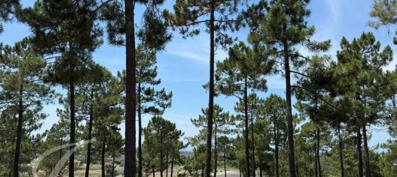 600m² Land in Grandola, Portugal No. 144254 3