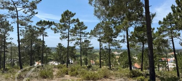 600m² Land in Grandola, Portugal No. 144254 4