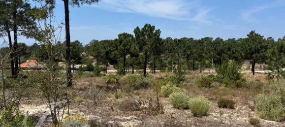 600m² Land in Grandola, Portugal No. 144254 5