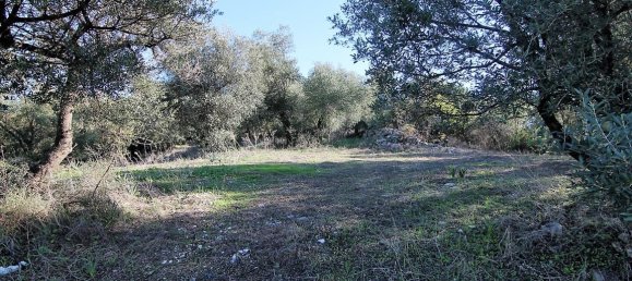 41000m² Hotel in Corfu, Greece No. 5344 29