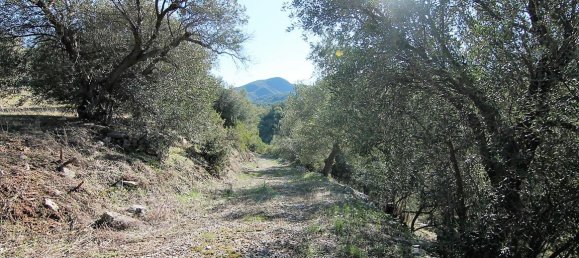 41000m² Hotel in Corfu, Greece No. 5344 25