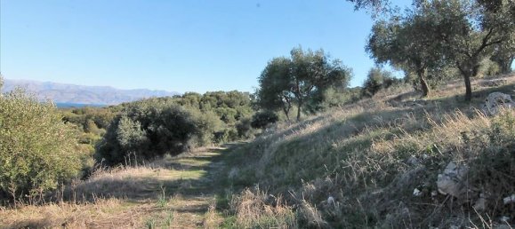 41000m² Hotel in Corfu, Greece No. 5344 13