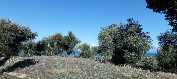 41000m² Hotel in Corfu, Greece No. 5344 23