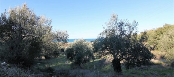 41000m² Hotel in Corfu, Greece No. 5344 6