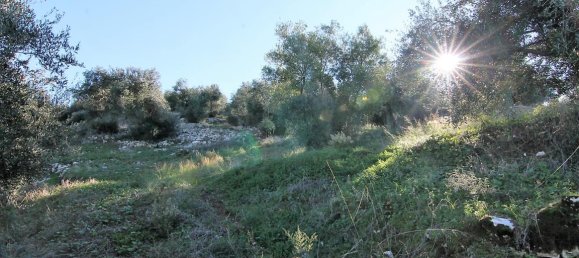 41000m² Hotel in Corfu, Greece No. 5344 10