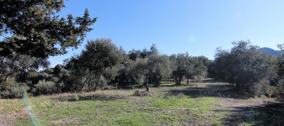 41000m² Hotel in Corfu, Greece No. 5344 22