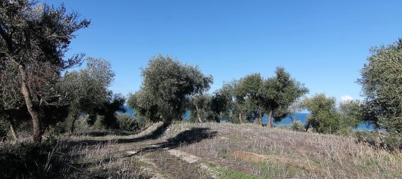 41000m² Hotel in Corfu, Greece No. 5344 24