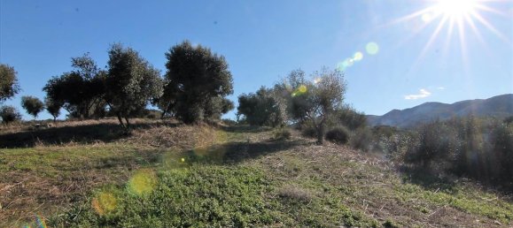 41000m² Hotel in Corfu, Greece No. 5344 14