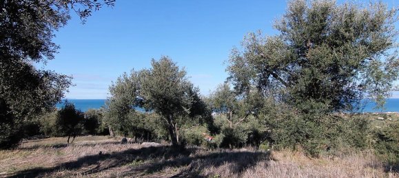 41000m² Hotel in Corfu, Greece No. 5344 18