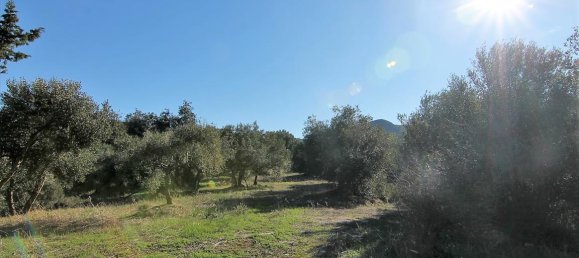 41000m² Hotel in Corfu, Greece No. 5344 21