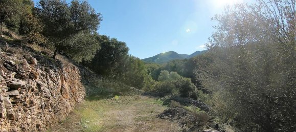 41000m² Hotel in Corfu, Greece No. 5344 26