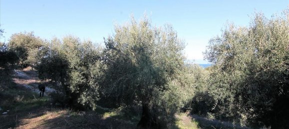 41000m² Hotel in Corfu, Greece No. 5344 11