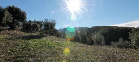 41000m² Hotel in Corfu, Greece No. 5344 3