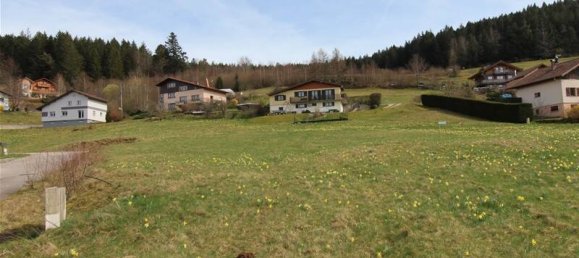 1448m² Land in Xonrupt-Longemer, France No. 69699 2