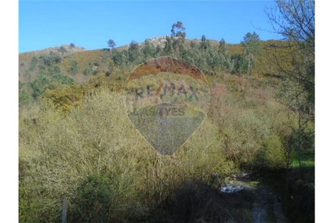 5430m² Land in Ponte da Barca, Portugal No. 58547