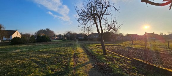 3 chambres Maison à Selles-Saint-Denis, France No. 83471 37