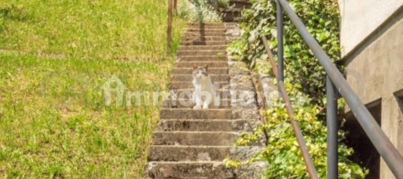 3 غرف نوم منزل في Lama Mocogno, Italy رقم 222321 30