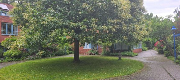 1 bedroom Townhouse in Dusseldorf, Germany No. 48336 3