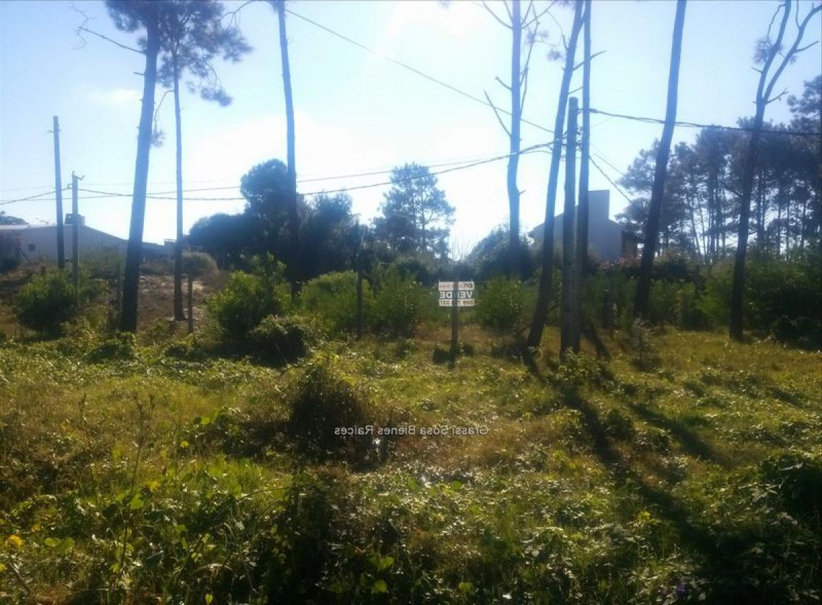  Land in Canelones, Uruguay No. 15827