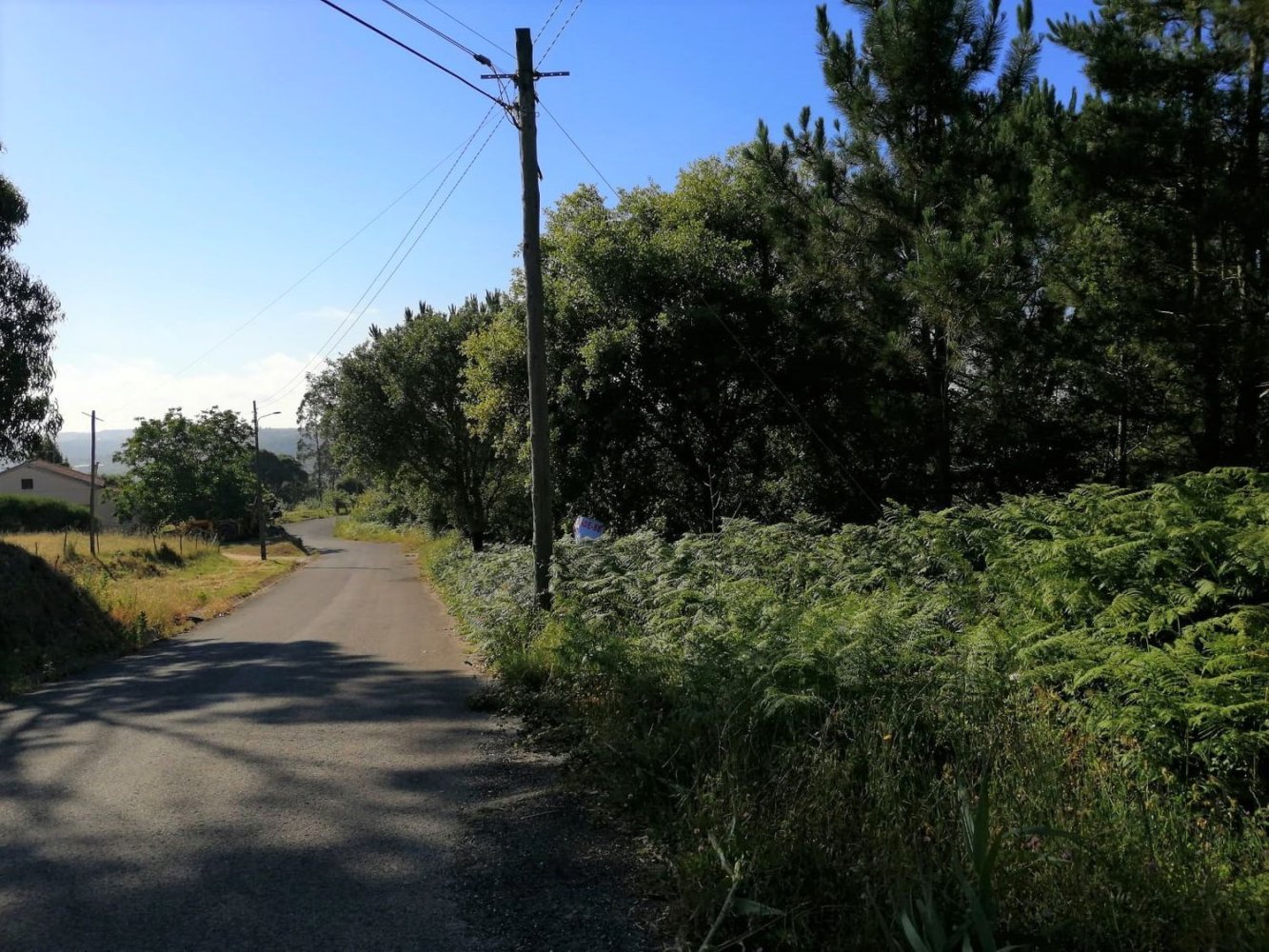  قطعة أرض في Santa Catarina, Portugal رقم 189984