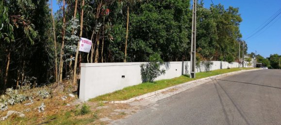  قطعة أرض في Santa Catarina, Portugal رقم 189984 2