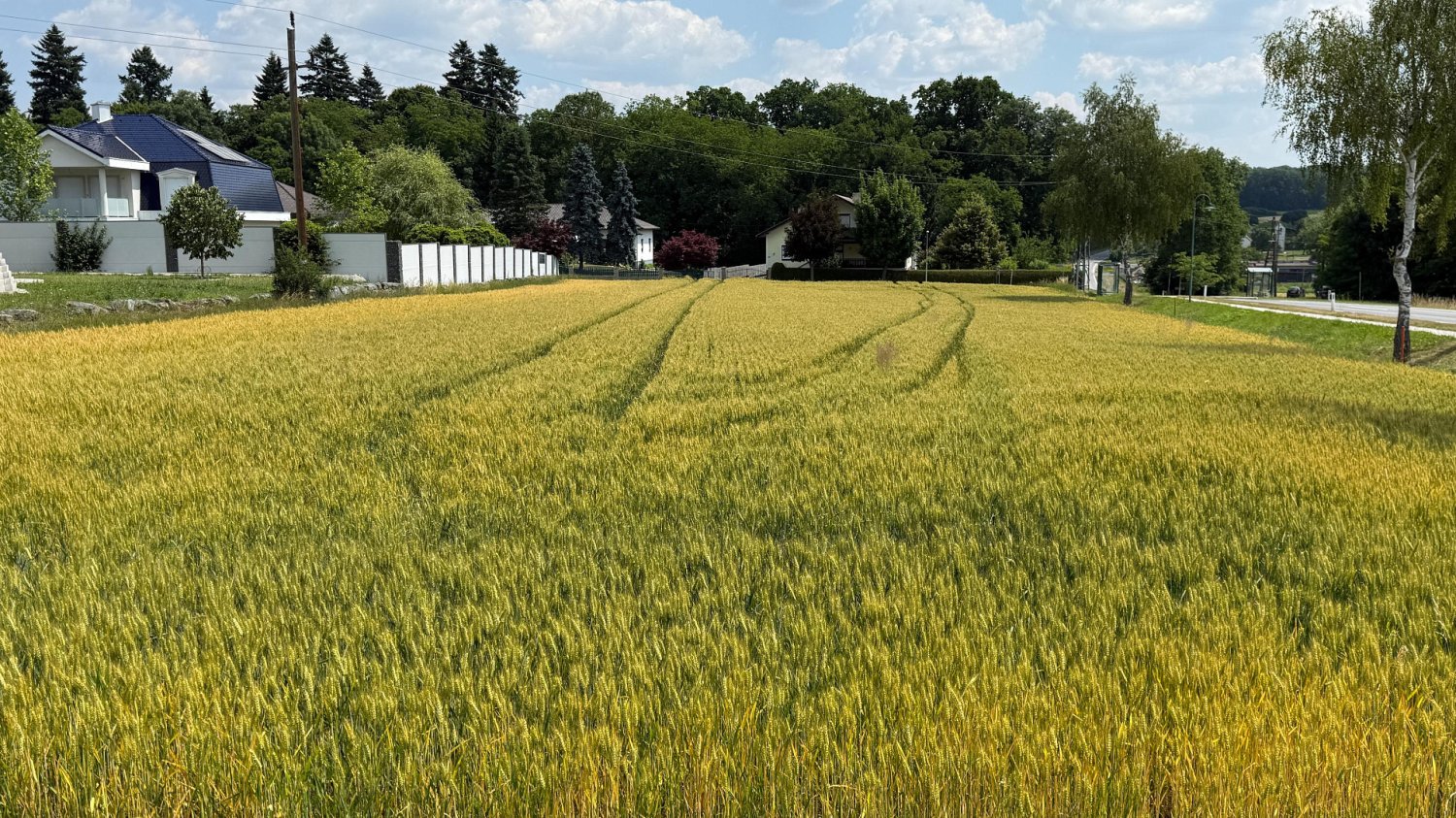 Terreno en Kohfidisch, Austria No. 130445