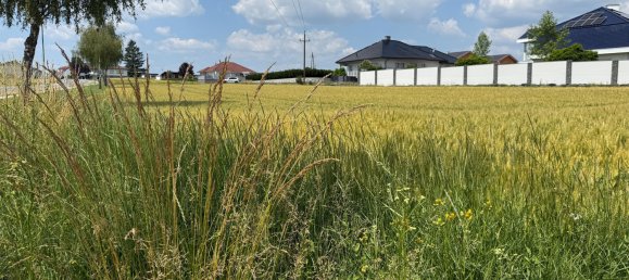 Terreno en Kohfidisch, Austria No. 130445 2