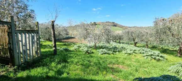 4غرفة شقة في Monsampolo del Tronto, Italy رقم 9450 22