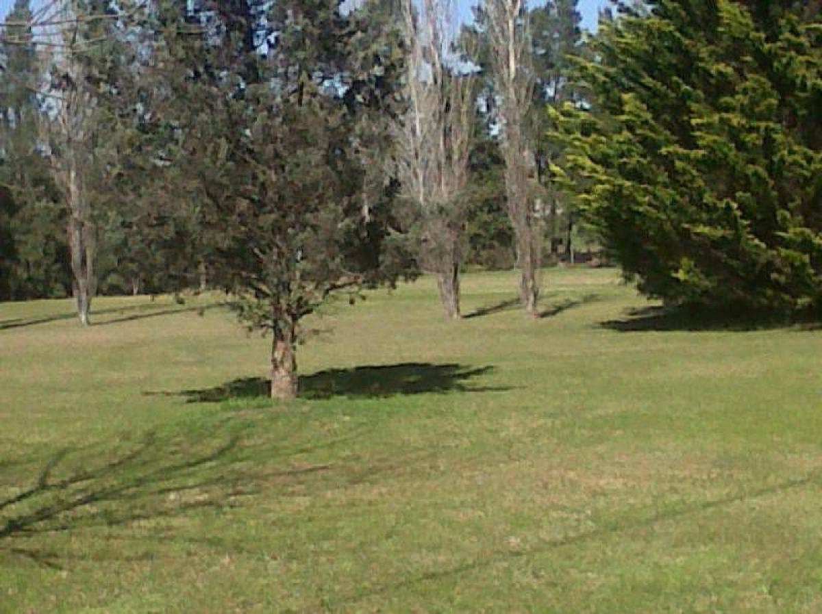  قطعة أرض في Pilar, Argentina رقم 119151