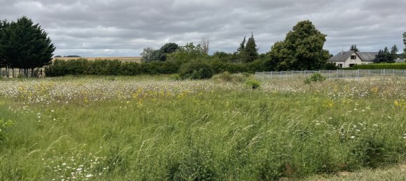  قطعة أرض في Paudy, France رقم 90530 4