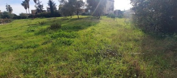 Land in Nettuno, Italy No. 76429 6
