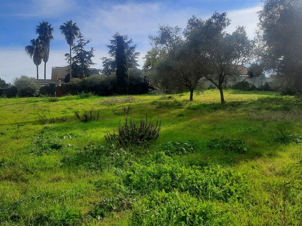  Land in Nettuno, Italy No. 76429